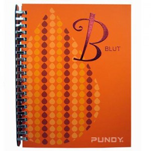 PUNDY DIY बाइंडर नोटबुक